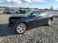 2C3CDXBG3PH687814 2023 DODGE CHARGER