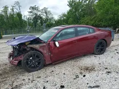 2C3CDXBG4KH505255 2019 DODGE CHARGER