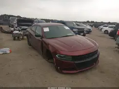 2C3CDXBG4LH244615 2020 DODGE CHARGER