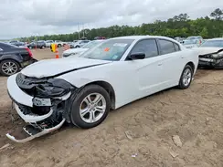 2C3CDXBG4PH613026 2023 DODGE CHARGER