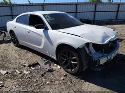 2C3CDXBG5KH591496 2019 DODGE CHARGER