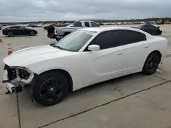 2C3CDXBG5KH661059 2019 DODGE CHARGER