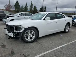 2C3CDXBG5KH703004 2019 DODGE CHARGER
