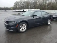 2C3CDXBG6PH703231 2023 DODGE CHARGER