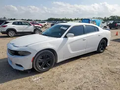 2C3CDXBG7GH310435 2016 DODGE CHARGER