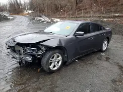 2C3CDXBG7KH695598 2019 DODGE CHARGER