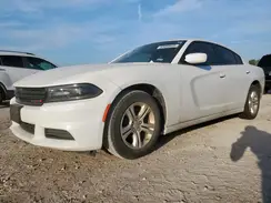 2C3CDXBG7LH101576 2020 DODGE CHARGER