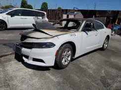 2C3CDXBG7PH568356 2023 DODGE CHARGER