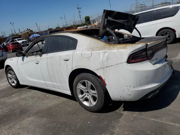 2C3CDXBG7PH568356 2023 DODGE CHARGER - Image 2