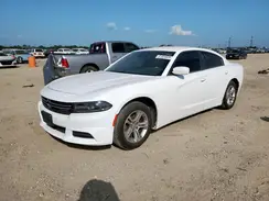 2C3CDXBGXGH303494 2016 DODGE CHARGER