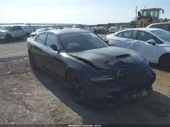 2C3CDXCT1MH619101 2021 DODGE CHARGER