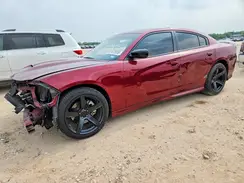 2C3CDXCT5PH554631 2023 DODGE CHARGER