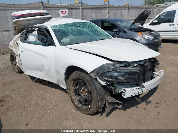 2C3CDXCT7LH215668 2020 DODGE CHARGER - Image 1
