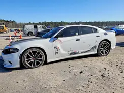 2C3CDXCT7PH701905 2023 DODGE CHARGER