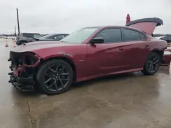 2C3CDXCTXKH726502 2019 DODGE CHARGER