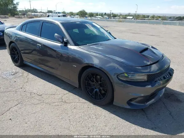 2C3CDXCTXKH737113 2019 DODGE CHARGER - Image 1