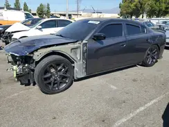 2C3CDXCTXMH644367 2021 DODGE CHARGER