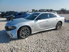 2C3CDXCTXPH559419 2023 DODGE CHARGER