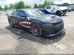 2C3CDXEJXGH199225 2016 DODGE CHARGER
