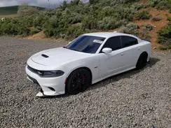 2C3CDXGJ1KH698887 2019 DODGE CHARGER