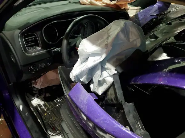 2C3CDXGJ4JH319153 2018 DODGE CHARGER - Image 8