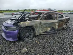 2C3CDXGJ4PH689883 2023 DODGE CHARGER