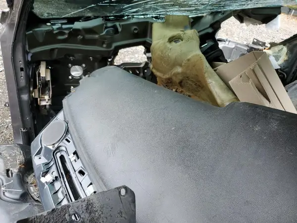 2C3CDXGJ5LH166687 2020 DODGE CHARGER - Image 8
