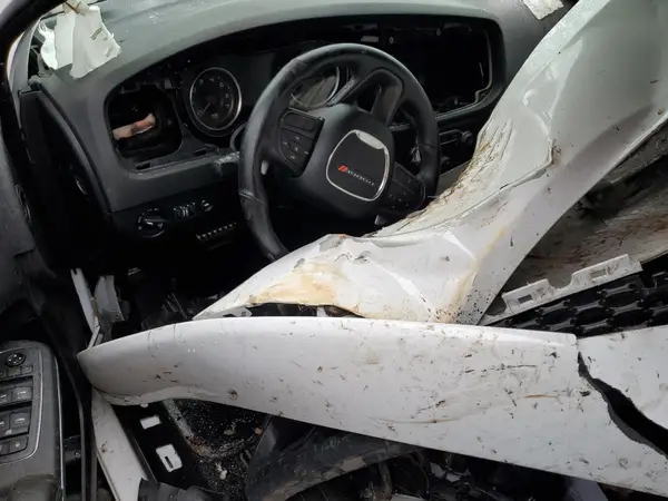 2C3CDXGJ5MH528339 2021 DODGE CHARGER - Image 8