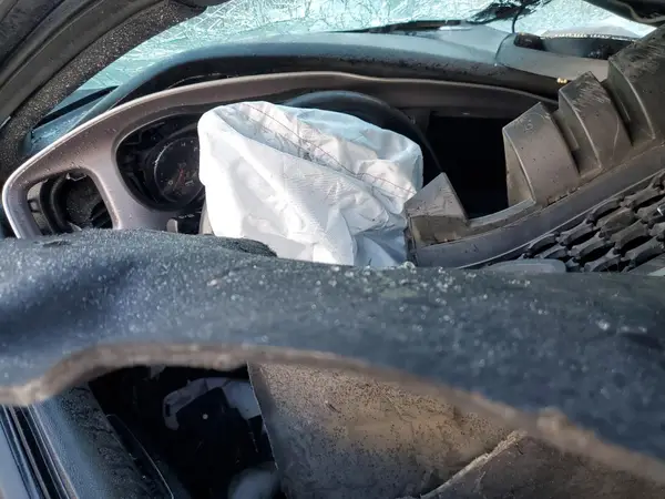 2C3CDXGJ7KH756808 2019 DODGE CHARGER - Image 8
