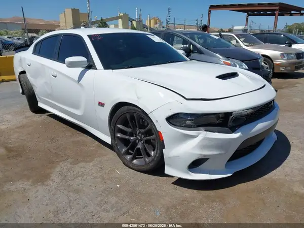 2C3CDXGJ7LH120696 2020 DODGE CHARGER - Image 1