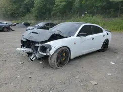 2C3CDXGJ8KH646429 2019 DODGE CHARGER