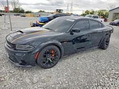 2C3CDXGJXPH595006 2023 DODGE CHARGER