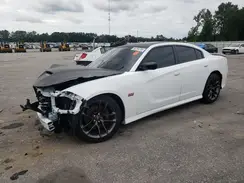 2C3CDXGJXPH703799 2023 DODGE CHARGER