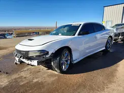 2C3CDXHG2PH539077 2023 DODGE CHARGER