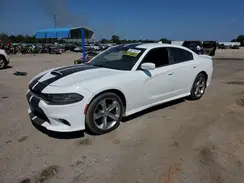 2C3CDXHG4KH598267 2019 DODGE CHARGER
