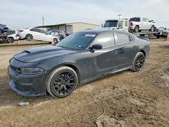 2C3CDXHG4PH530008 2023 DODGE CHARGER