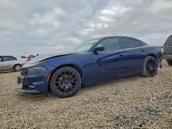 2C3CDXHG5HH520637 2017 DODGE CHARGER