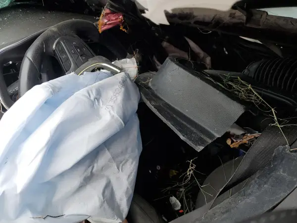 2C3CDXHG7HH576577 2017 DODGE CHARGER - Image 7