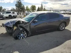 2C3CDXHG9GH242484 2016 DODGE CHARGER