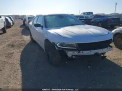 2C3CDXJG0PH664296 2023 DODGE CHARGER