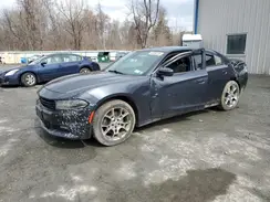 2C3CDXJG8GH223502 2016 DODGE CHARGER