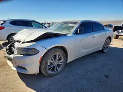 2C3CDXJG9PH705007 2023 DODGE CHARGER