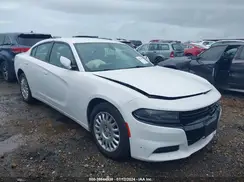 2C3CDXKT4KH733060 2019 DODGE CHARGER