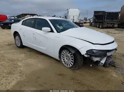2C3CDXKT5KH733066 2019 DODGE CHARGER