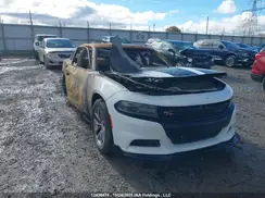 2C3CDXKT6GH303800 2016 DODGE CHARGER
