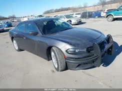 2C3CDXKT7KH755361 2019 DODGE CHARGER