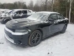 2C3CDXMGXPH661207 2023 DODGE CHARGER