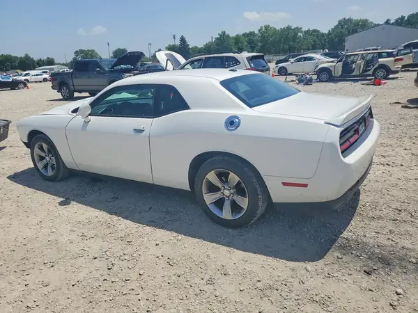 2C3CDZAG2KH701773 2019 DODGE CHALLENGER - Image 2