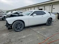 2C3CDZAG3HH519184 2017 DODGE CHALLENGER
