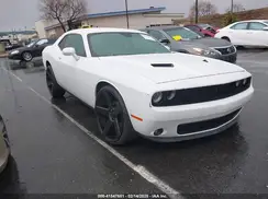 2C3CDZAG3LH156975 2020 DODGE CHALLENGER
